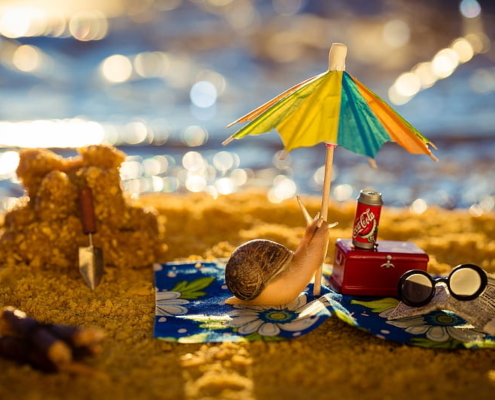 Summer 2024